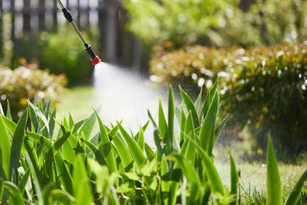 Tamper-Resistant Bait Stations for Rodents in Roseau