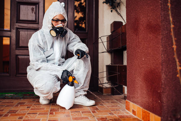 Attic and Crawl Space Rodent Treatment in Roseau